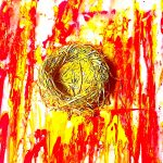 The-Birds-Nest
